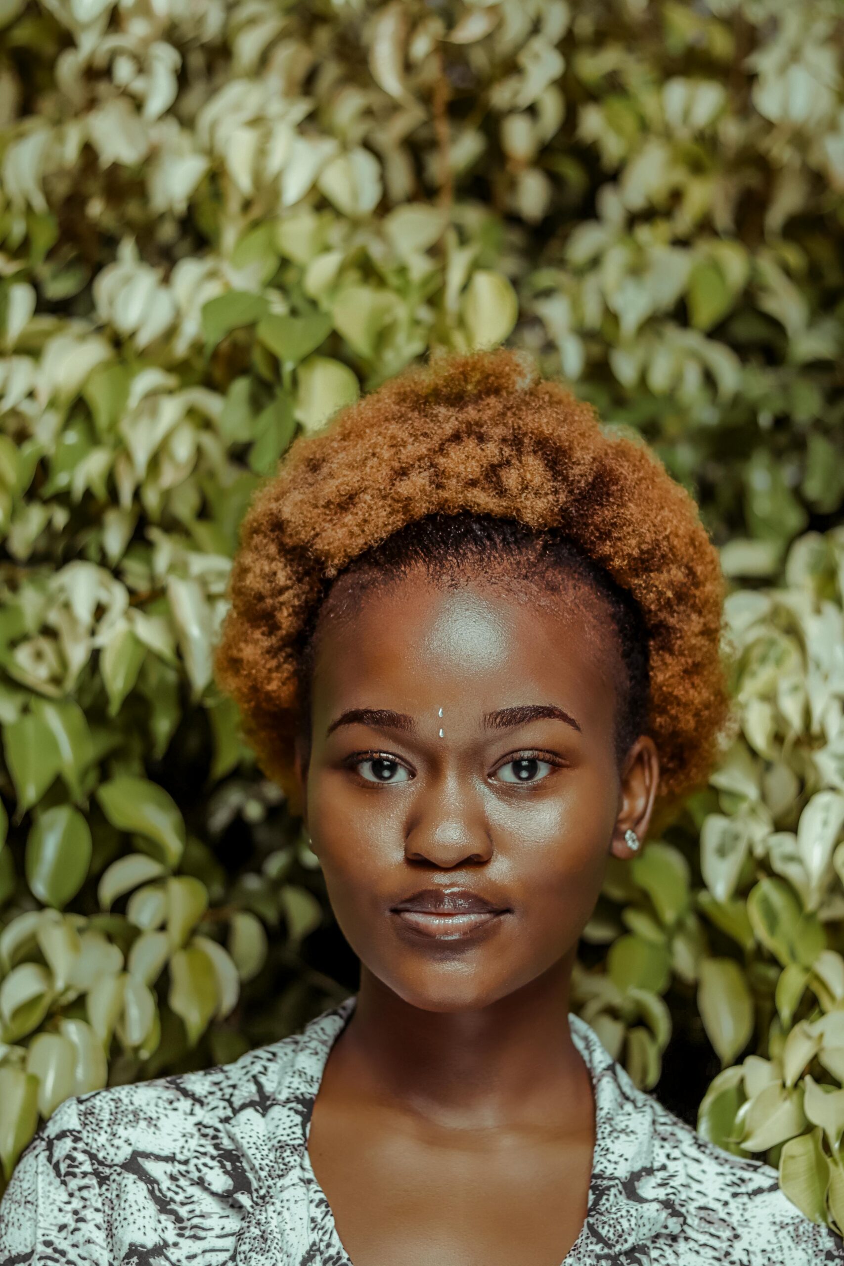 gem dorcas